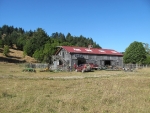 Farm in Petrolia