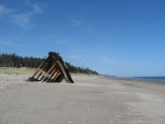 August 2011 Haida Gwaii