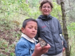 Im PN Mariposa Monarc ist es so kalt, dass sich die Schmetterlinge von den Baeumen fallen und vom Weg vorsichtig beiseite geraeumt werden.