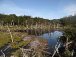 Parque Natural Tierra del Fuego - Bieberdam.