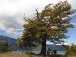 Lago General Carrera und ein bisschen Wind.