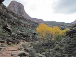 Grand Canyon NP