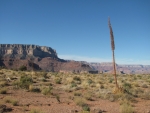 Grand Canyon NP