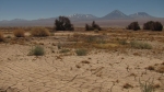 Atacama-Wueste