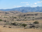 Auf dem Weg nach Oaxaca